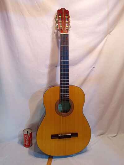 Greco Acoustic Guitar Model GR118