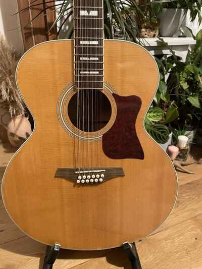 Vintage Model Acoustic Guitar 12 string V1700-N12