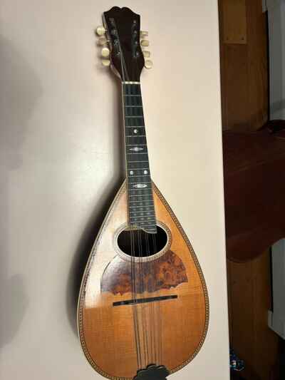 Vega Tater Bug Potatoe Bug Mandolin