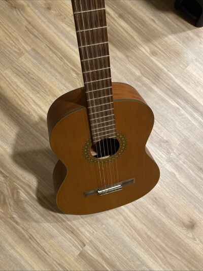 VINTAGE Walden Natura Guitar N570
