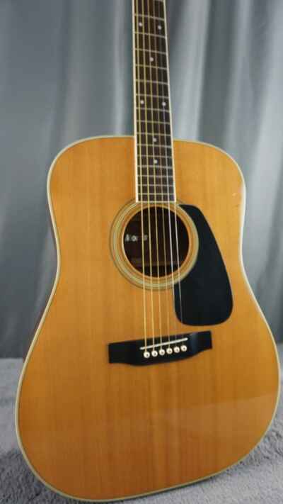 Morris MV-701 Vanguard Series Japan Acoustic