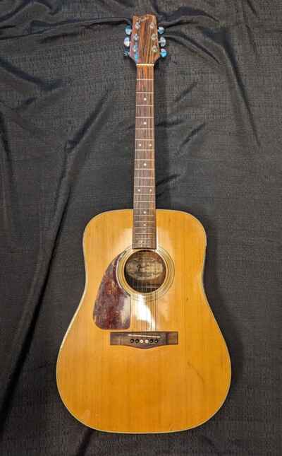 1982 Vintage Fender F-210LH Acoustic Guitar Left Handed Lefty HTF RARE * L@@K *