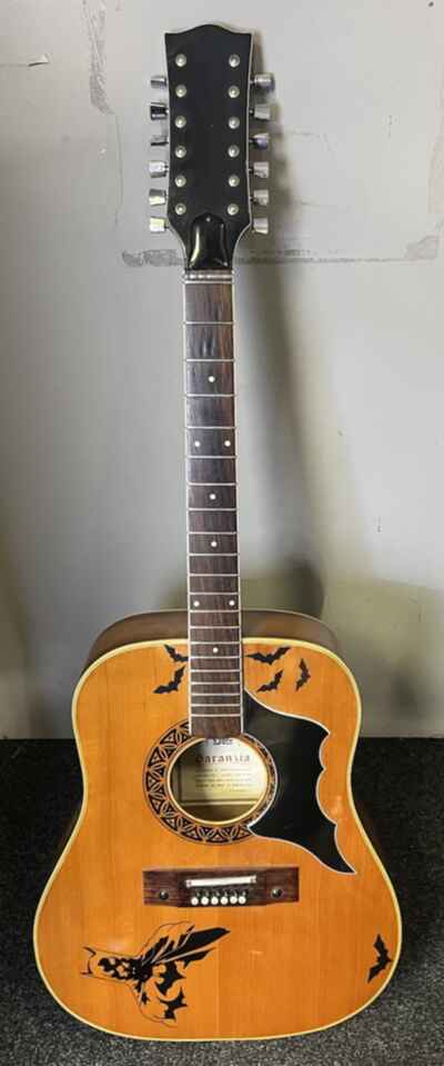 Excellent Italian 12 String Eros Dakota 606 Garanzia c 1969 Natural