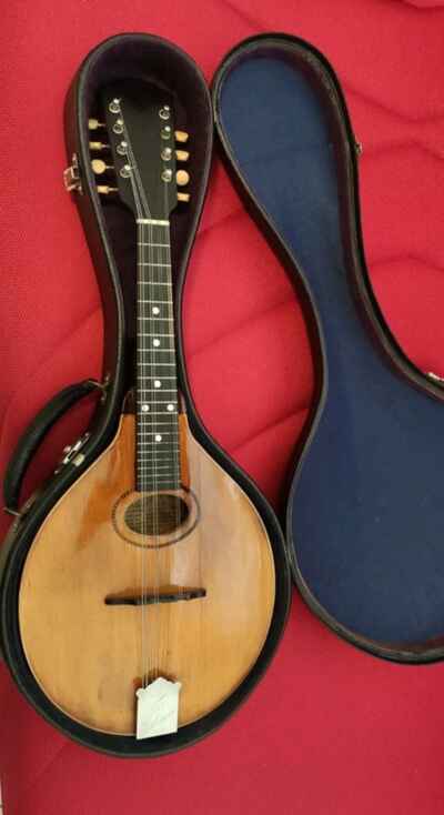 Mandolin Guitar Gibson Anno 1915