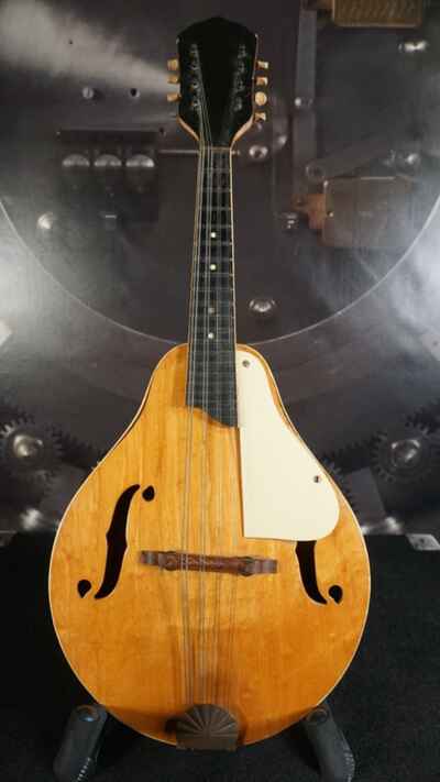 Vintage Kay 61 1 / 2 Mandolin w /  Kluson Deluxe Tuners Birdseye Maple