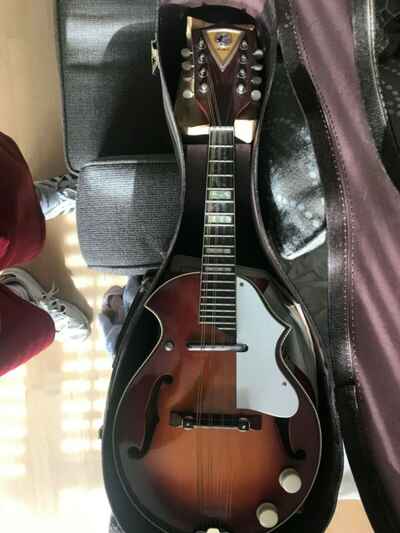 1963 KAY Electric Mandolin Vintage Authentic