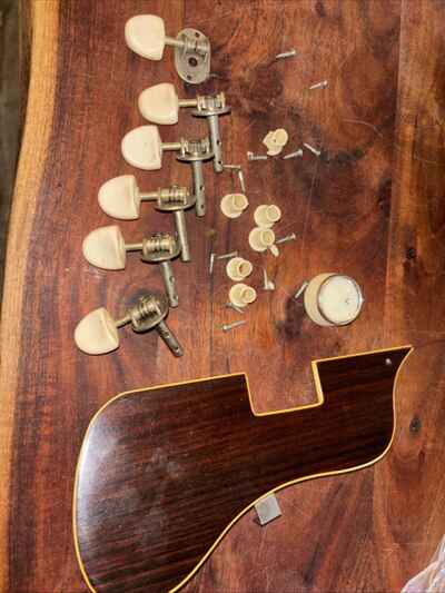 Vintage Guitar Tuner Tuning Peg Open Geared Kawaii Teisco Volume Knob Pickguard