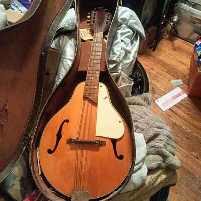 vintage Kay 48 Mandolin with original soft shell case & extra strings