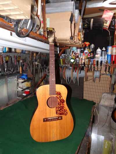 Vintage Conrad Japan  Acoustic Tenor Guitar Spruce Top w amazing Pick-guard.
