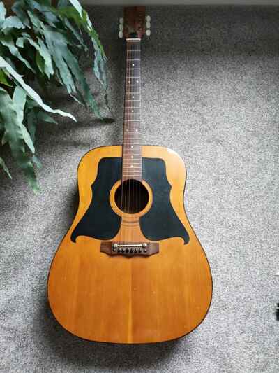 Kay 550 Dove Vintage Acoustic Guitar Good Condition Lovely Sound