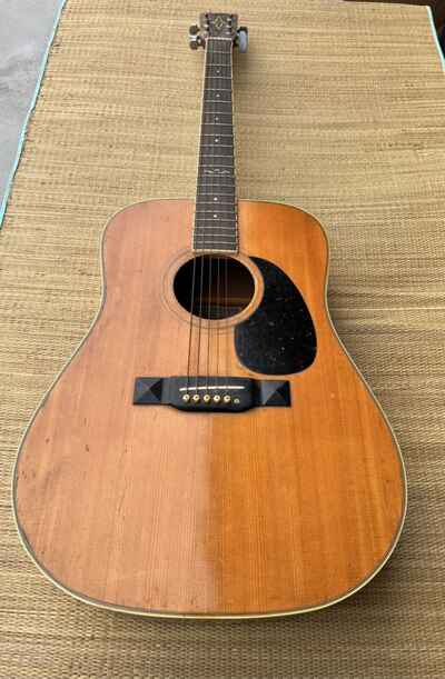 Vintage Alvarez Acoustic Electric Guitar 5041 Natural 1970??s Rare