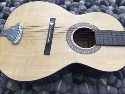 Vintage 1960s Tele-Star Hollow Body Acoustic Guitar ?? All Original Condition