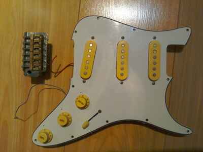 3 x Vintage Pickups On Loaded Pickgaurd  /  Scratchplate + Tremelo & Brass Saddles