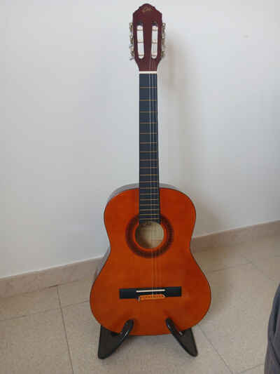 chitarra eko