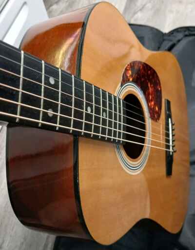 Rhapsody Guitar Co. Vintage Model FG-160 Of The 1970