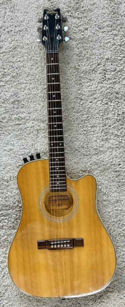 Rare 1980s Washburn SBF-24 in Natural / Blonde finish  /  Pete Townsend
