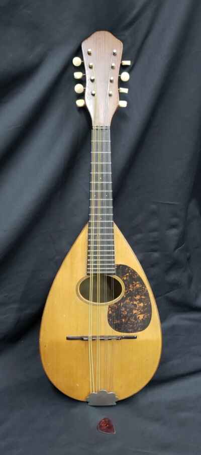 1916 C F.  Martin Bowl Back Mandolin in Playable Mint Condition