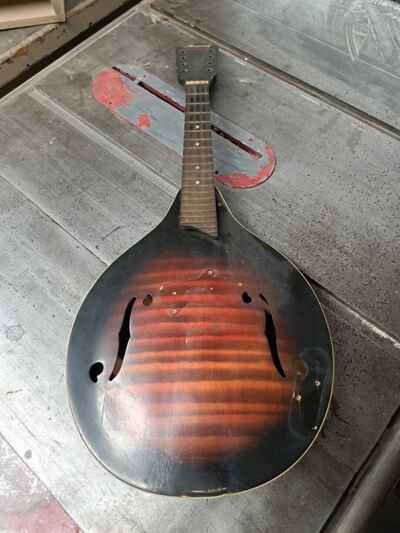 Harmony Monterey Mandolin Luthier Project