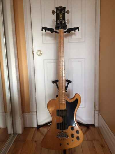 Electric Bass Guitar