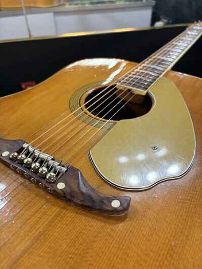 Fender shenandoah 12 string hotsell