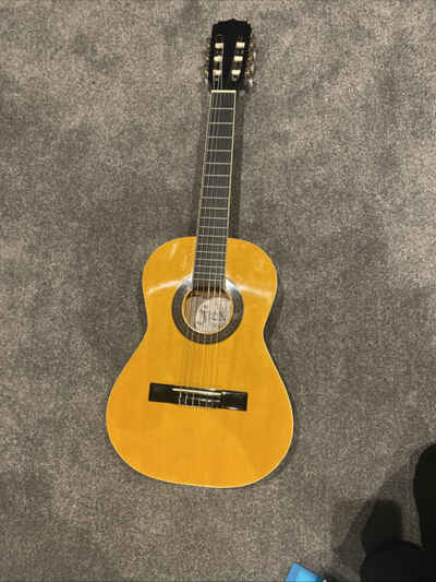 aria acoustic guitar