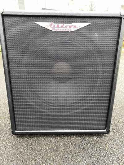 Vintage 12 guitar Amp