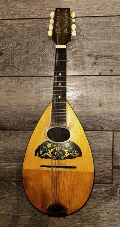 Vintage Antique 8 String Mandolin Bowl Back Floral American Conservatory