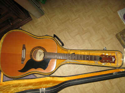  wunderschöne top erhaltene Akustische Gitarre EKO Ranger 6 mit gitarrenkasten