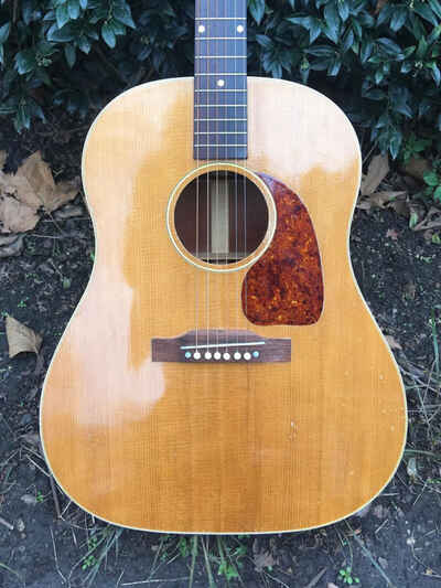 Gibson J50 Acoustic 1952 - Natural
