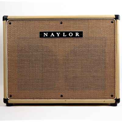 Naylor Electra-Verb 38 *Rare 2x12 Model* Dallas, Texas Era Tube Combo Guitar Amp