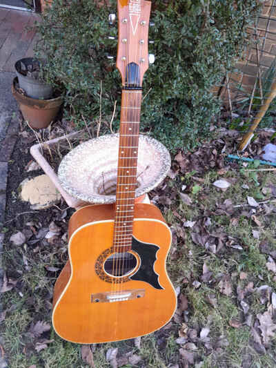 Vintage italian Acoustic