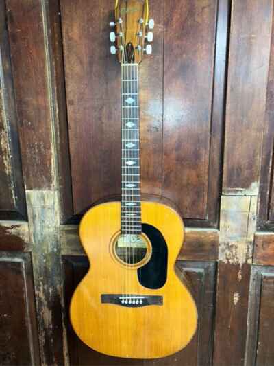 Giannini Tranquillo GS-380 Rosewood Steel String Acoustic Guitar 1970 Brazil
