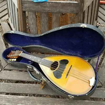 Vintage Washburn Mandolin 1896