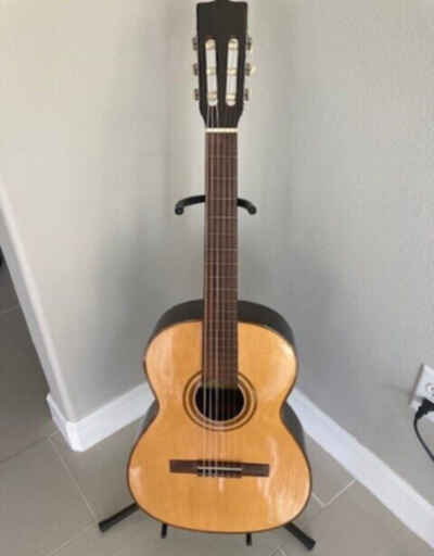 GIANNINI Model 6 Classic Acoustic Guitar 1969 Brazil SN 10382!