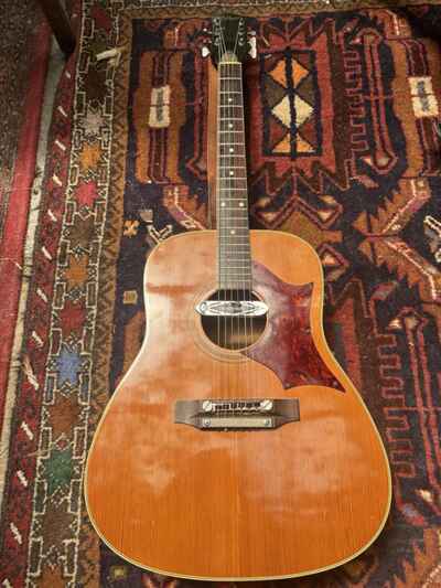 Hoyer Acoustic Electro Dreadnought Guitar