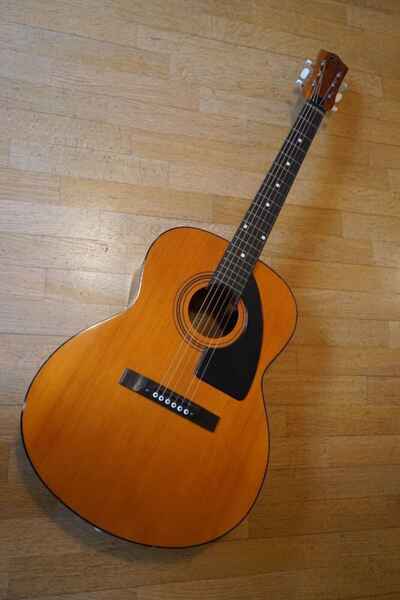chitarra acustica Eko Navajo vintage made in Italy professionale amplificata ott
