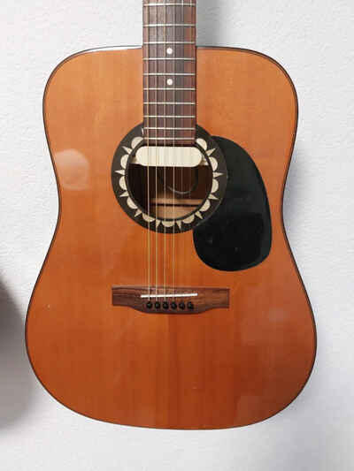 Höfner 4890 Blue Grass German Vintage Dreadnought Western from 1970 with Pickup