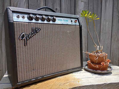 1975 / 76 fender vibro champ