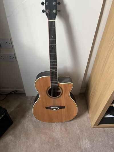 Eko Acoustic Electric Guitar