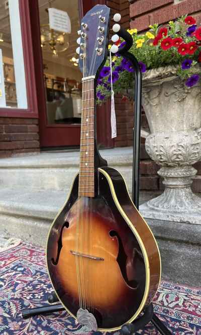 1960??s(?) Sekova ??A-Style?? Arch Top Mandolin ~ Warm Sunburst(F Holes, Pro Setup)