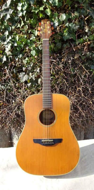 Gitarre Zettel Takamine N 10