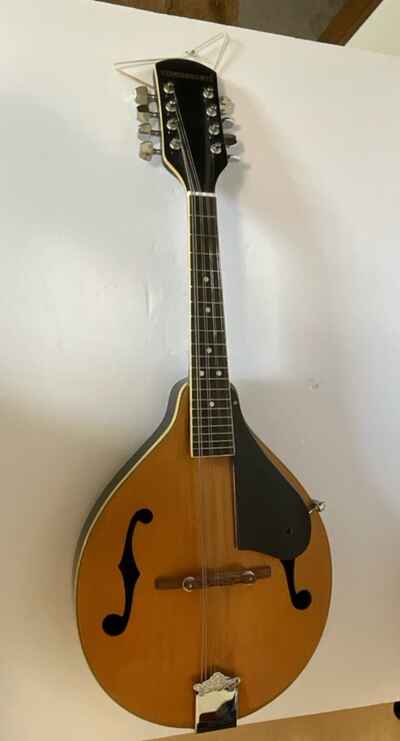 Vintage 6982 Conservarte Mandolin Preowned