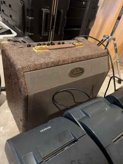 Luna Guitars Acoustic 25C Amplifier ?? 25-Watt Acoustic Amp with Vintage Styling