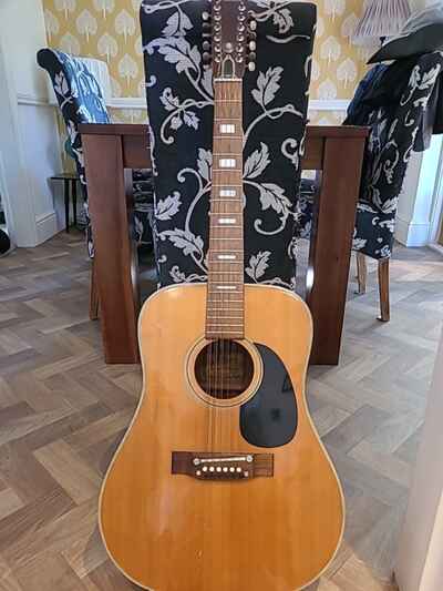 Vintage Jedson 12 String Acoustic Dreadnought Guitar
