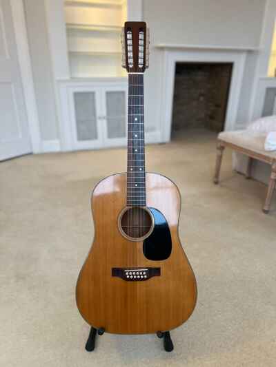 Martin 12 string  D12-20 1970