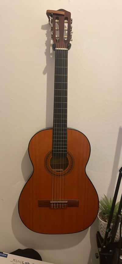angelica guitar used
