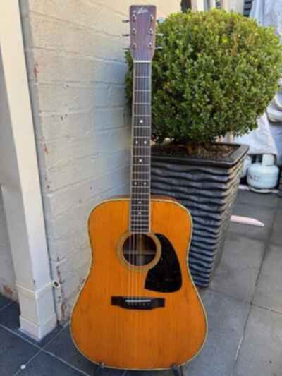 Aria W-25  6 String Acoustic Guitar - Made in Japan MIJ 1980s