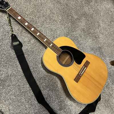 Laurel Canyon Acoustic Guitar 6 String With Vintage Guitar Case
