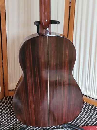ventura acoustic guitar