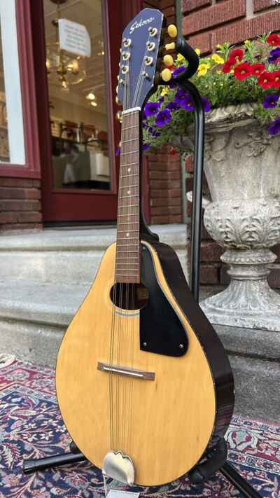 1970??s Sekova Mandolin (Vintage, Pro Setup) ~ See Video ~
